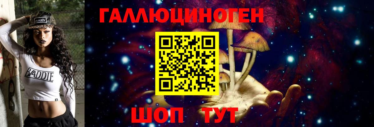 Борисоглебск  хочу   Вход с VPN  Псилоцибиновые грибы GOLDEN TEACHER 